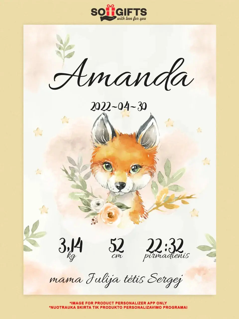 Personalizuota Mergaitės Gimimo Metrikų Iliustracija ant drobės Drobe - dovanokis.lt