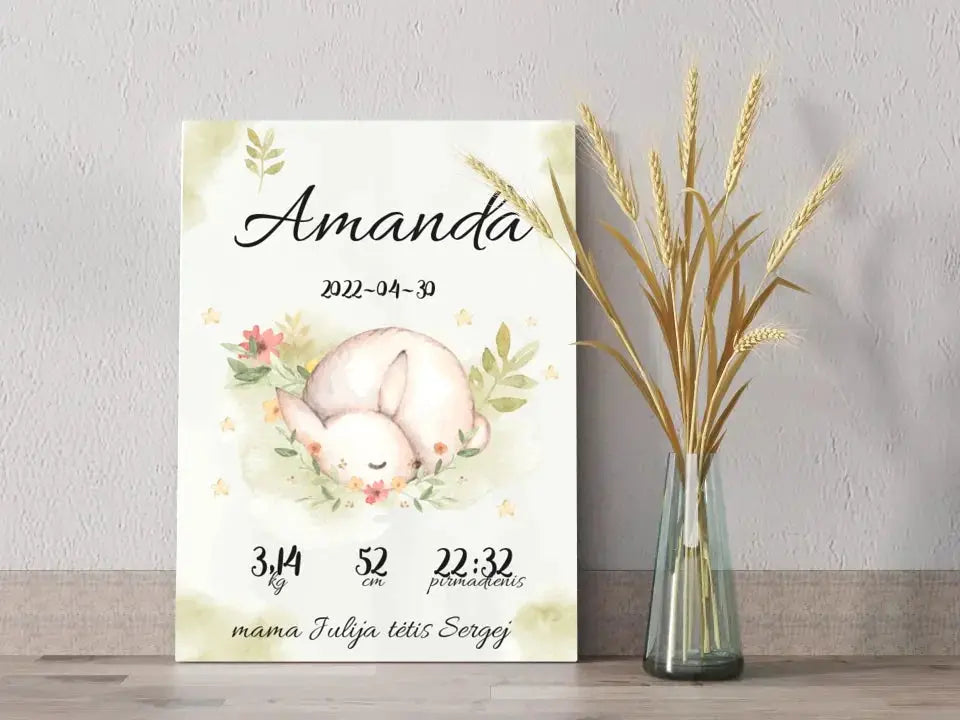 Personalizuota Mergaitės Gimimo Metrikų Iliustracija ant drobės Drobe - dovanokis.lt