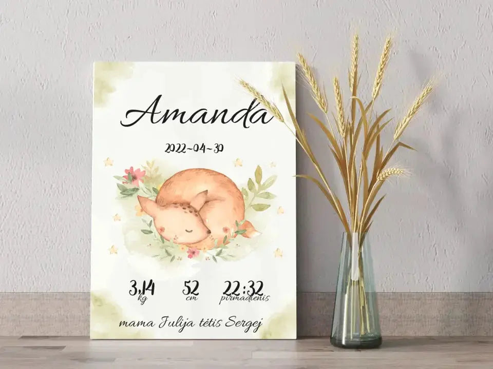 Personalizuota Mergaitės Gimimo Metrikų Iliustracija ant drobės Drobe - dovanokis.lt