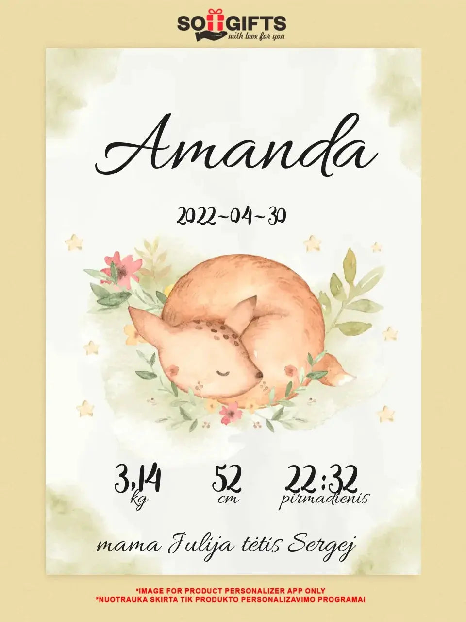 Personalizuota Mergaitės Gimimo Metrikų Iliustracija ant drobės Drobe - dovanokis.lt