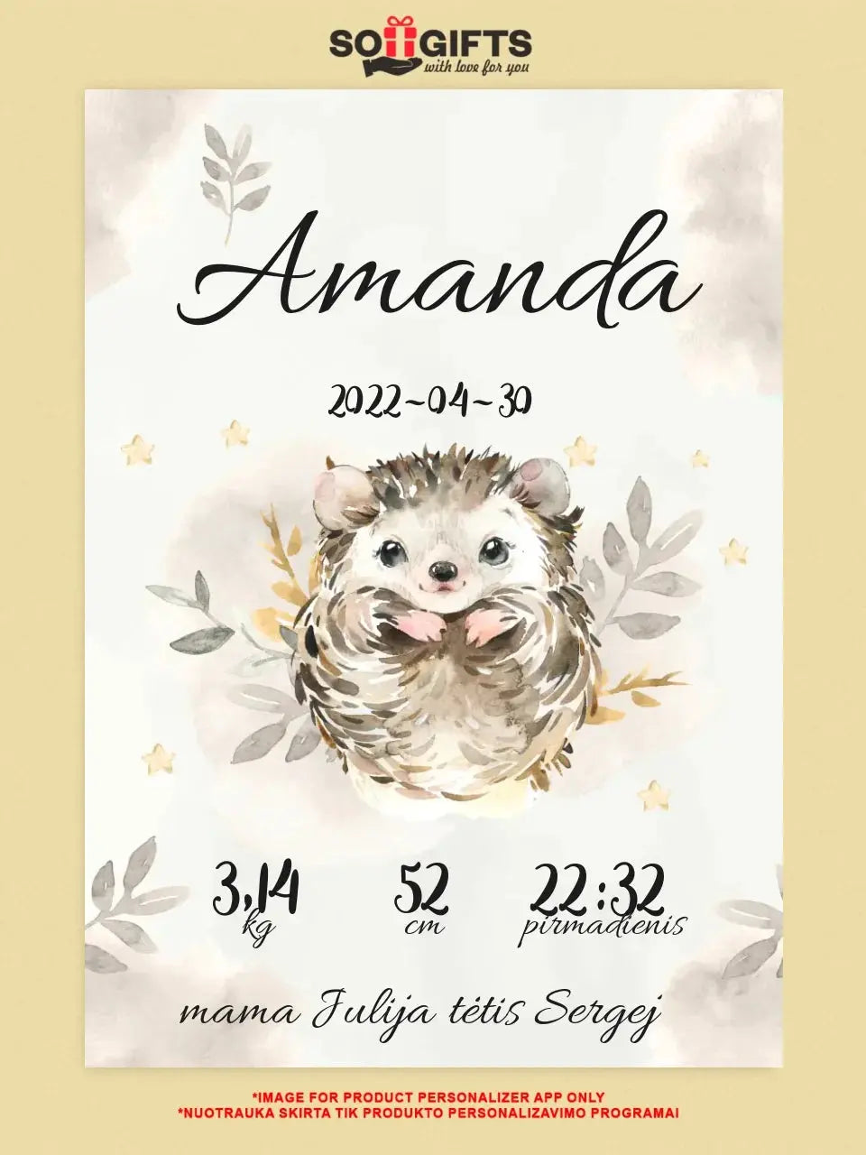 Personalizuota Mergaitės Gimimo Metrikų Iliustracija ant drobės Drobe - dovanokis.lt