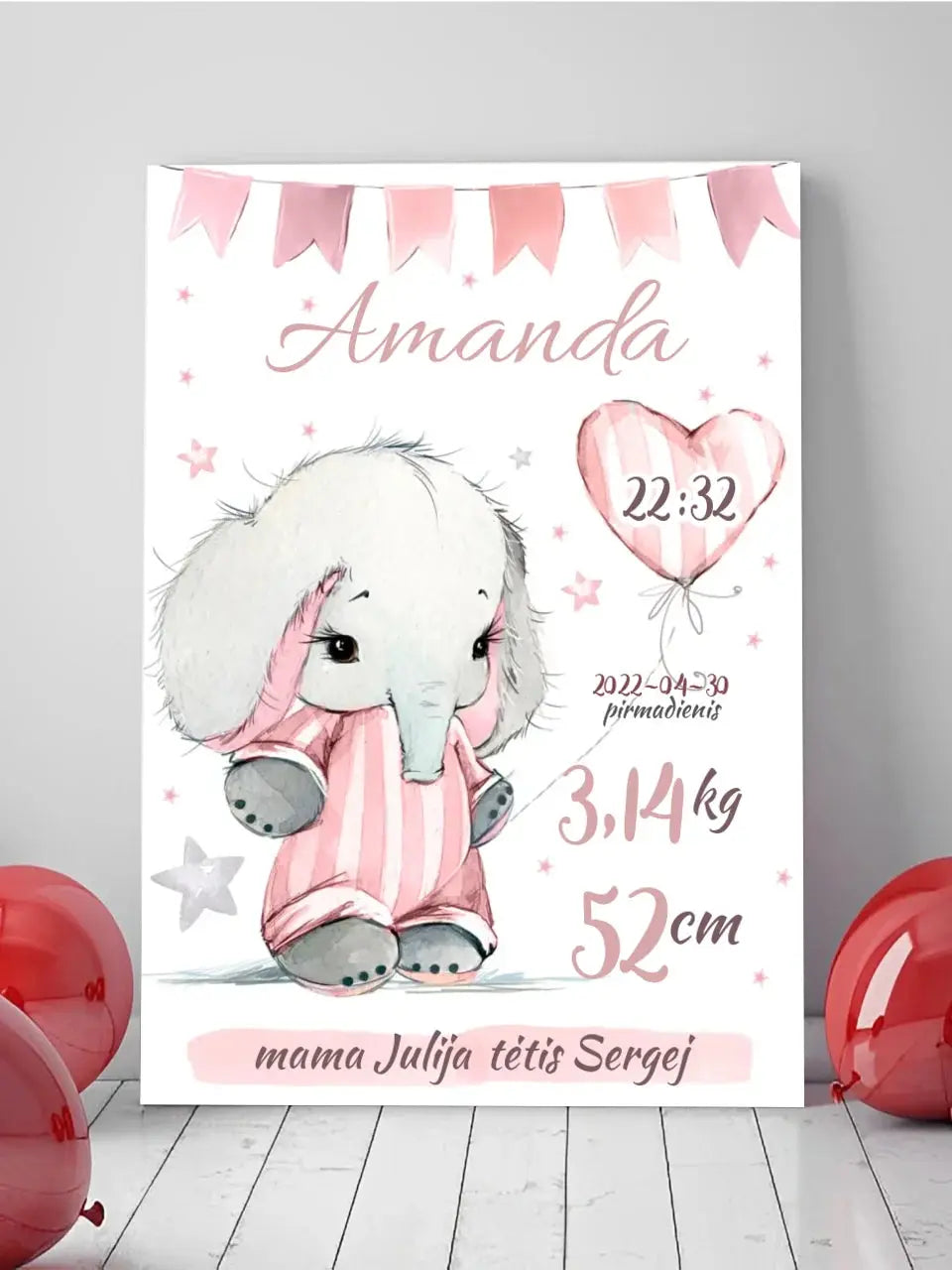 Personalizuota Mergaitės Gimimo Metrikų Iliustracija ant drobės Drobe - dovanokis.lt