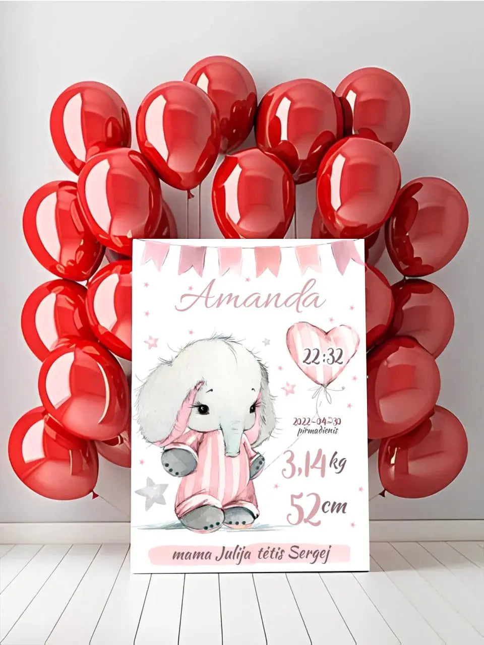 Personalizuota Mergaitės Gimimo Metrikų Iliustracija ant drobės Drobe - dovanokis.lt