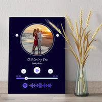 Personalizuotas Spotify muzikos grotuvas ant drobės su jūsų nuotrauka, daina ir spotify kodu  Drobe -  dovanokis.lt