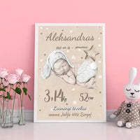 Personalizuota Vaiko Gimimo Metrikų Iliustracija, plakatas su rėmeliu  Posteris(Plakatas) -  dovanokis.lt