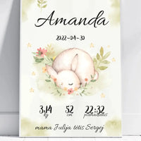 Personalizuota Mergaitės Gimimo Metrikų Iliustracija, plakatas su rėmeliu  Posteris(Plakatas) -  dovanokis.lt
