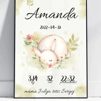 Personalizuota Mergaitės Gimimo Metrikų Iliustracija, plakatas su rėmeliu  Posteris(Plakatas) -  dovanokis.lt