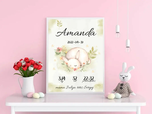 Personalizuota Mergaitės Gimimo Metrikų Iliustracija, plakatas su rėmeliu  Posteris(Plakatas) -  dovanokis.lt
