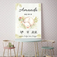 Personalizuota Mergaitės Gimimo Metrikų Iliustracija, plakatas su rėmeliu  Posteris(Plakatas) -  dovanokis.lt