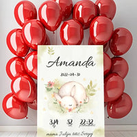 Personalizuota Mergaitės Gimimo Metrikų Iliustracija ant drobės  Drobe -  dovanokis.lt