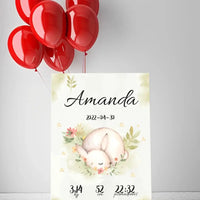 Personalizuota Mergaitės Gimimo Metrikų Iliustracija ant drobės  Drobe -  dovanokis.lt