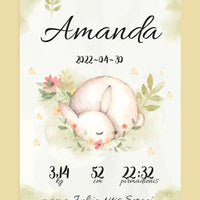 Personalizuota Mergaitės Gimimo Metrikų Iliustracija ant drobės  Drobe -  dovanokis.lt