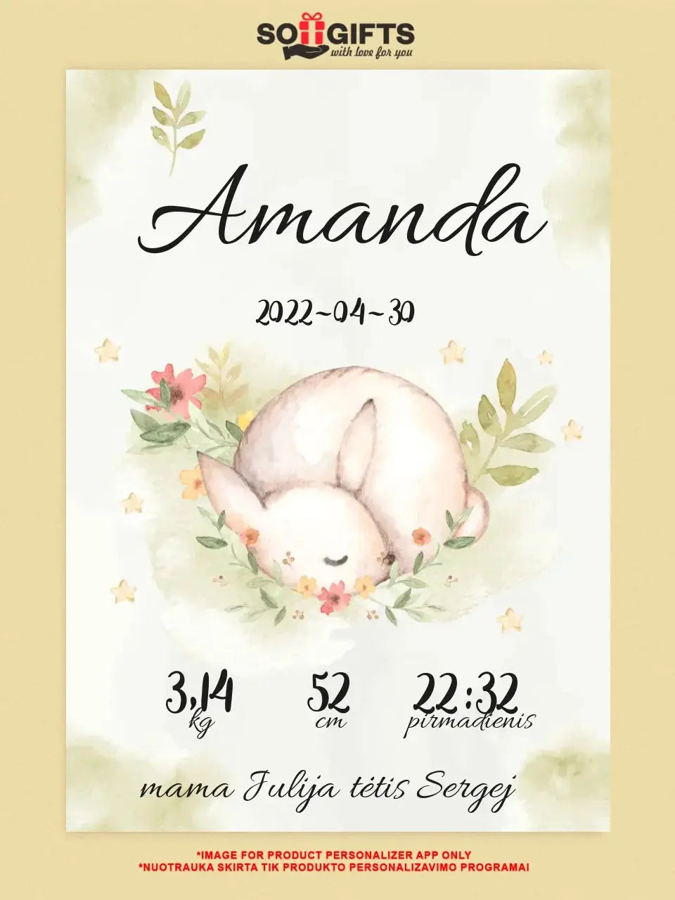 Personalizuota Mergaitės Gimimo Metrikų Iliustracija ant drobės  Drobe -  dovanokis.lt