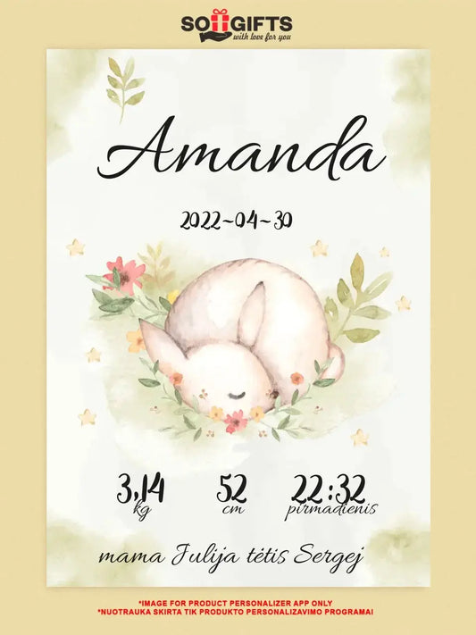 Personalizuota Mergaitės Gimimo Metrikų Iliustracija ant drobės  Drobe -  dovanokis.lt