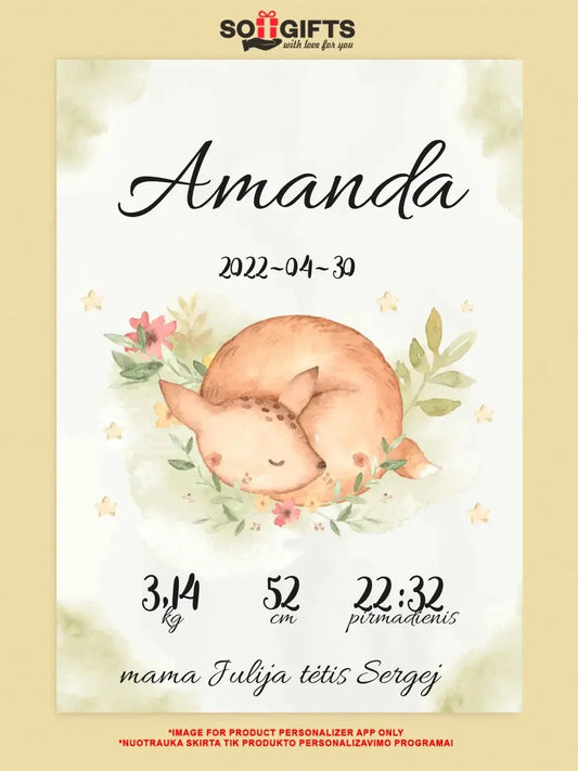 Personalizuota Mergaitės Gimimo Metrikų Iliustracija ant drobės  Drobe -  dovanokis.lt