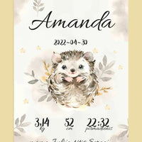 Personalizuota Mergaitės Gimimo Metrikų Iliustracija ant drobės  Drobe -  dovanokis.lt