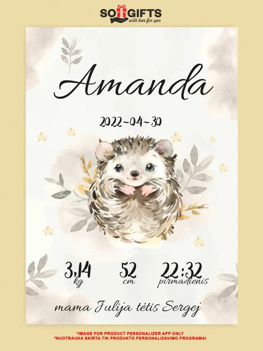 Personalizuota Mergaitės Gimimo Metrikų Iliustracija ant drobės  Drobe -  dovanokis.lt