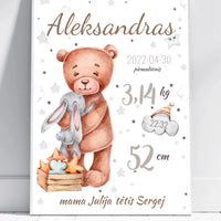Personalizuota Vaiko Gimimo Metrikų Iliustracija, plakatas su rėmeliu  Customizer -  dovanokis.lt