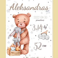 Personalizuota Vaiko Gimimo Metrikų Iliustracija ant drobės  Drobe -  dovanokis.lt