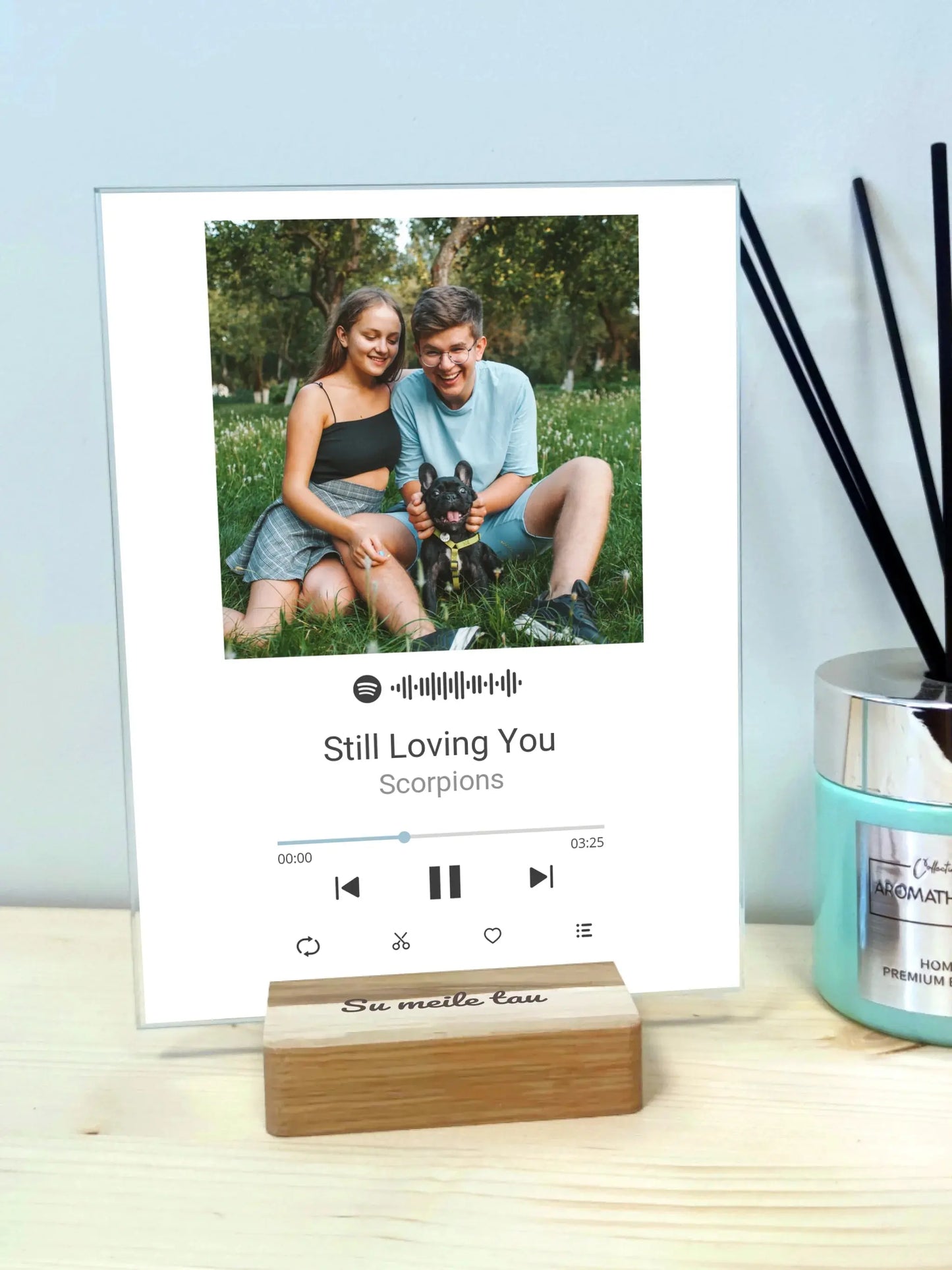 Personalizuotas muzikinis grotuvas "Spotify", stiklinis posteris. MZGR-007  Stiklas -  dovanokis.lt