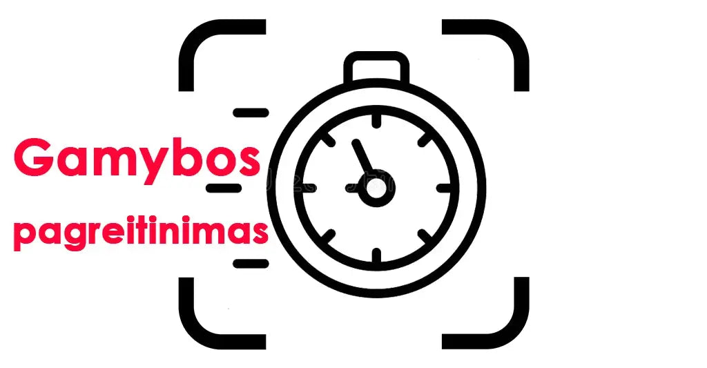 Gamybos pagreitinimas (1-2 darbo diena) - - hidden, Not-on-sale, pagreitinimas -